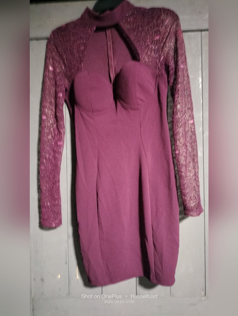 Entry Plum Long Sleeve Lace Yoke Bodycon Dress